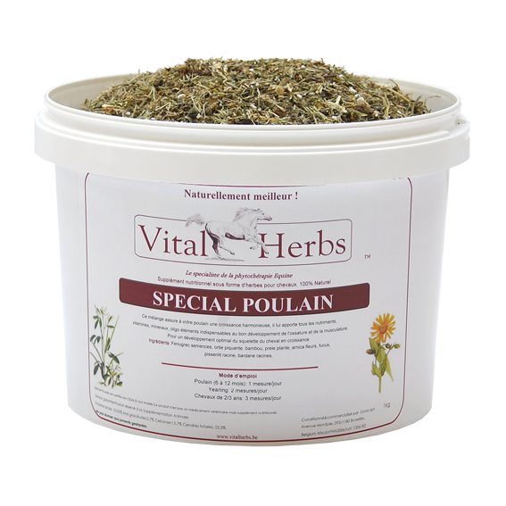 046be3d6a063f7c8d0bd320a01ce9c6d