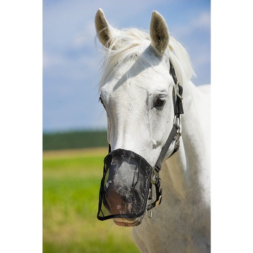 Osłona na chrapy przeciw owadom