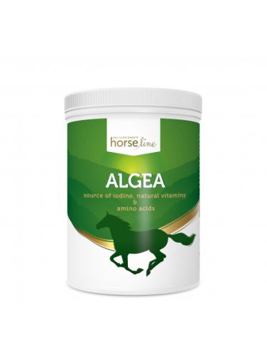 Algea 1500g