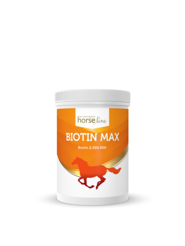 BiotinMax 500g