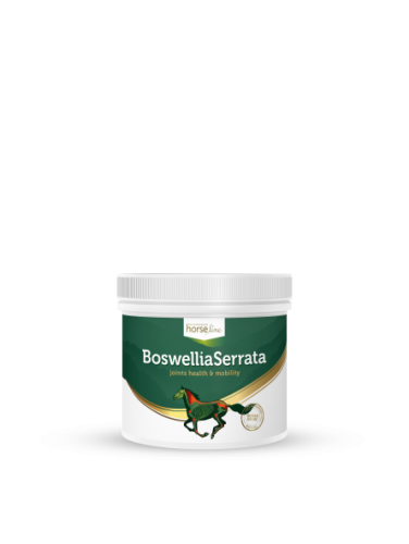 BoswelliaSerrata 500g