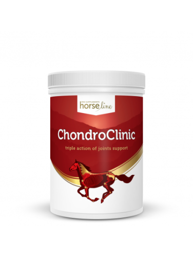 ChondroClinic 690g