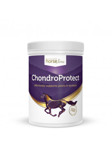ChondroProtect 900g