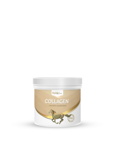 Collagen 300g