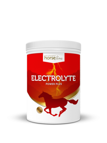 Electrolyte PowerPlus 1500g