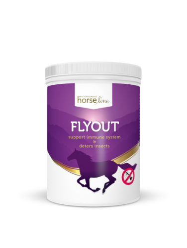 FlyOut 700g