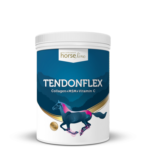 TendonFlex 900g