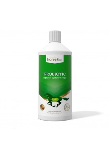 Probiotic DigestiveTherapy 1000ml