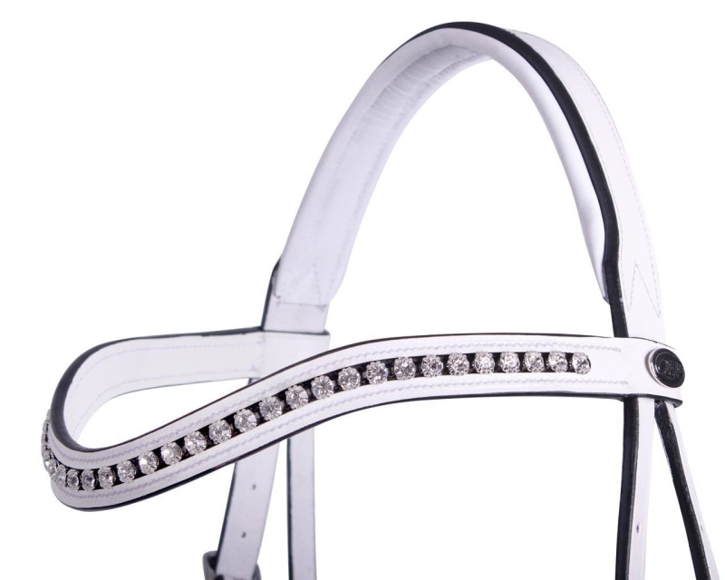 2518wi_browband.jpg