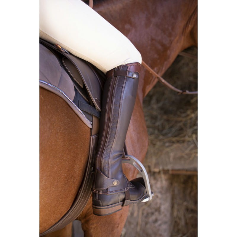 mini-chaps-equitheme-elite (11).jpg