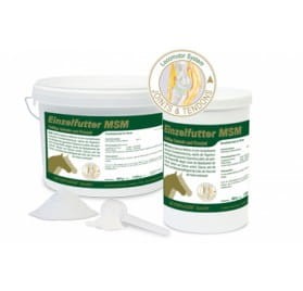 MSM - mocne stawy i chrząstki