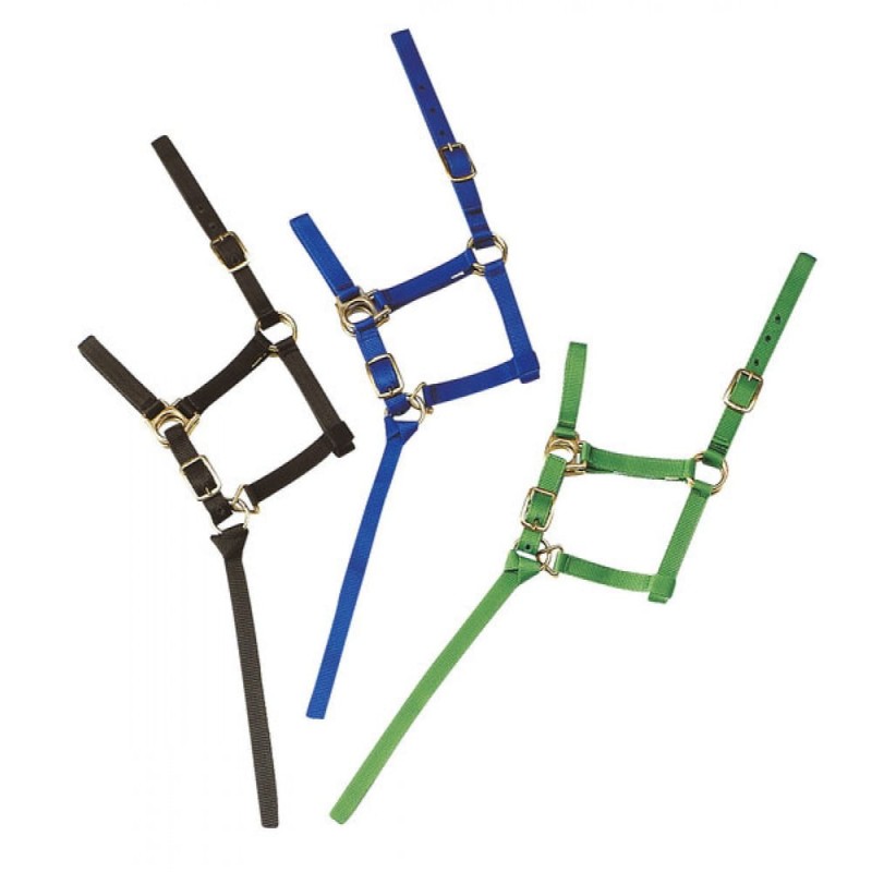 77edfa017367d8ea891b1dfb27a55225