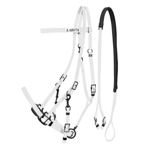 OGŁOWIE RAJDOWE BIOTHANE LAKOTA     