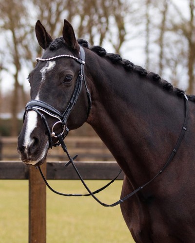 OGŁOWIE NEHZA QHP 24 h Full