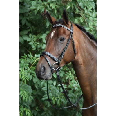 Ogłowie skórzane VERDI HORKA CZARNE FULL 24H