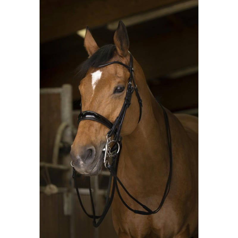 Wodze Norton Obiegły.jpg