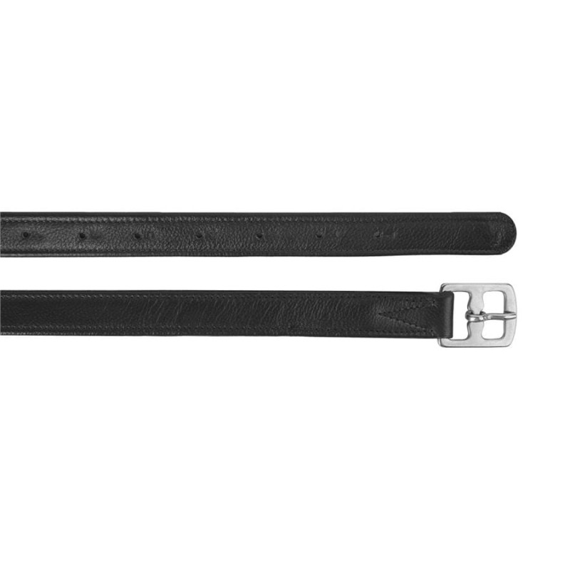 250f7c662f1f6c767de20d1411cf241b