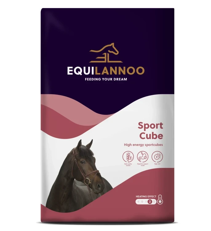 24-21117_ARV_-_Equilannoo_-_Sport_Cube-1.webp