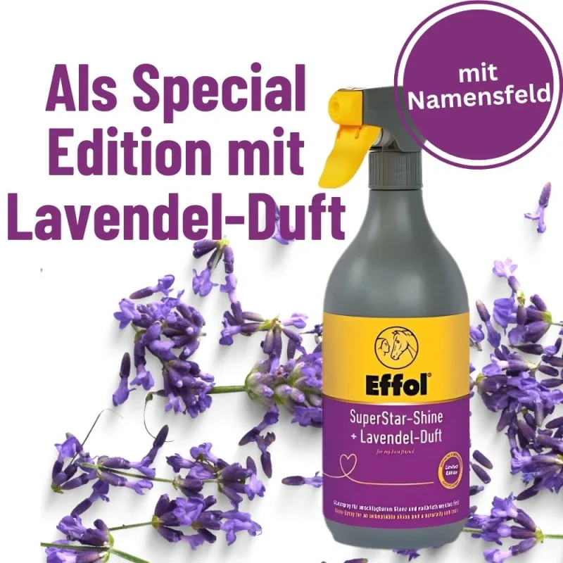 SSS_Lavendel1000x1000px_1920x1920.webp