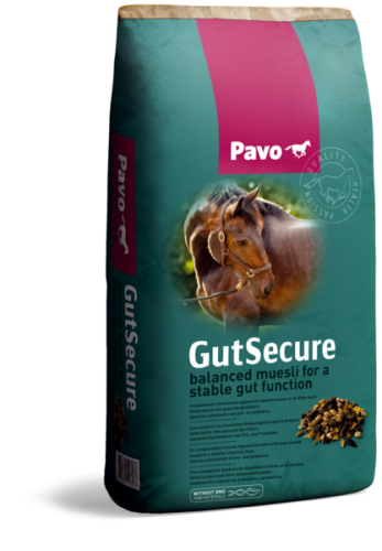 PAVO GutSecure 15 kg – Musli na przewlekłe zaburzenia trawienne w jelicie grubym