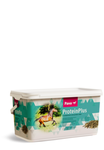 PAVO ProteinPlus 7 kg – Wysoce skoncentrowany dodatek białkowy