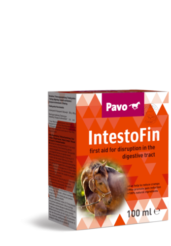 PAVO IntestoFin 100 ml – Pierwsza pomoc w celu wsparcia trawienia