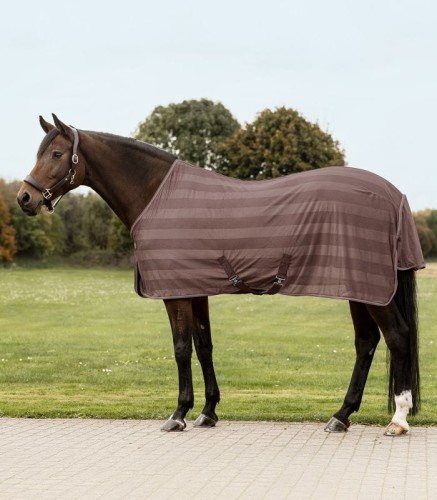 Ekonomiczna derka przeciw owadom Waldhausen