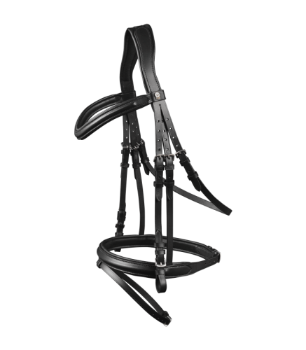 Waldhausen Ogłowie X-Line Londyn