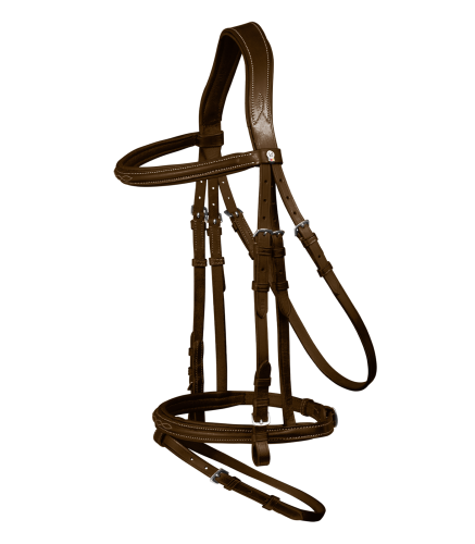 Waldhausen Ogłowie X-Line Santander