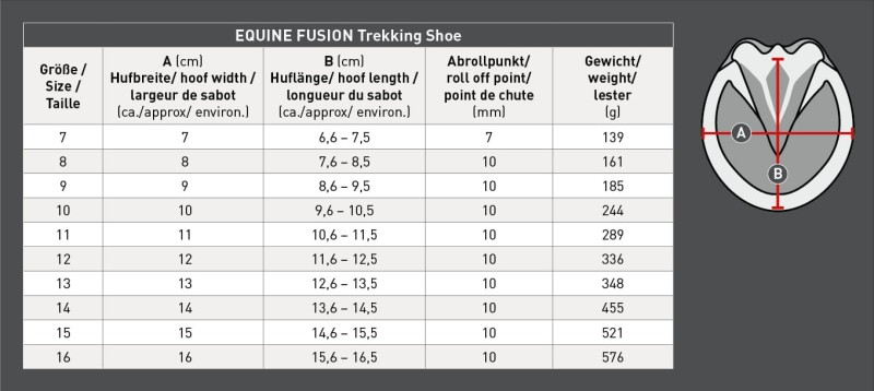Equine_Trekking (1).jpg