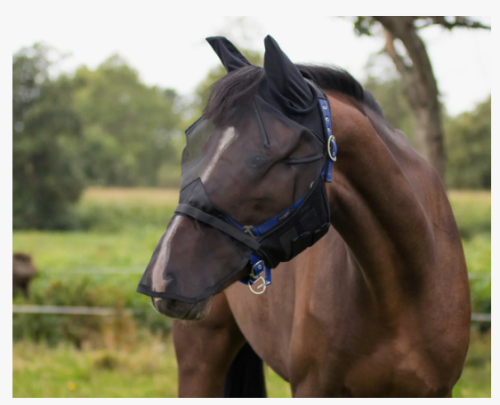 Maska przeciw owadom z nausznikami CZARNA QHP FULL 24H