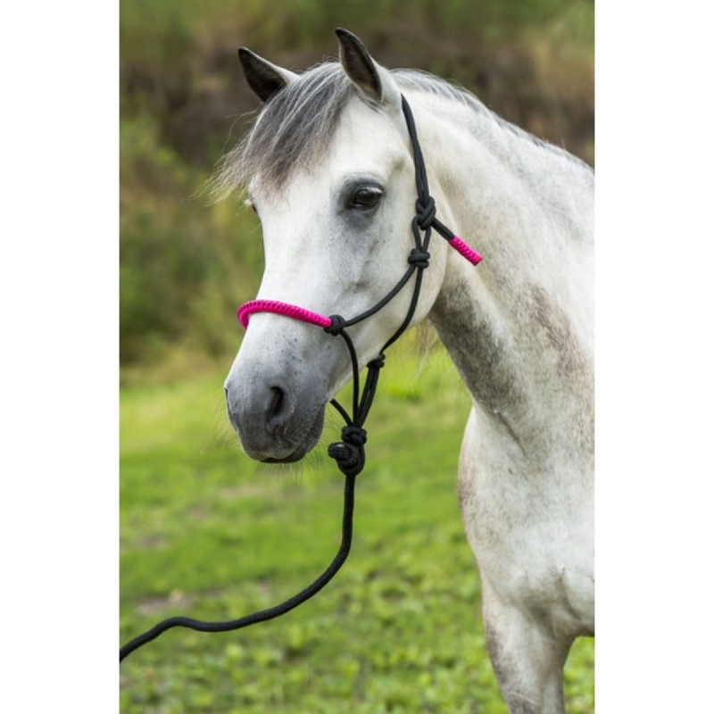 1181da9c3096cc8fb910adbc76375d44