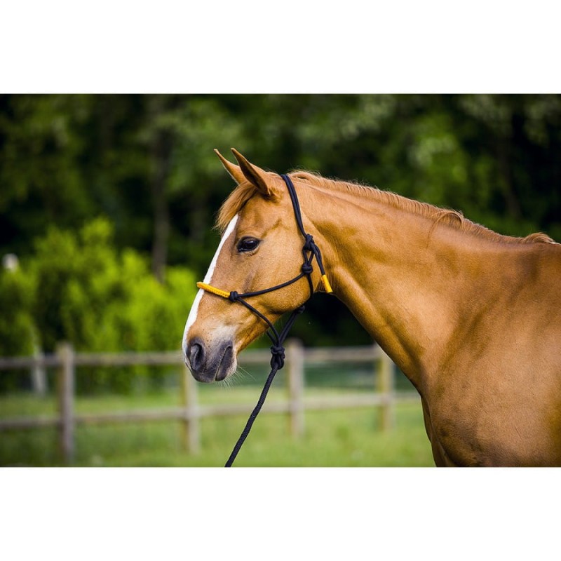 917c6158d8186d4ba95185104c3441ac