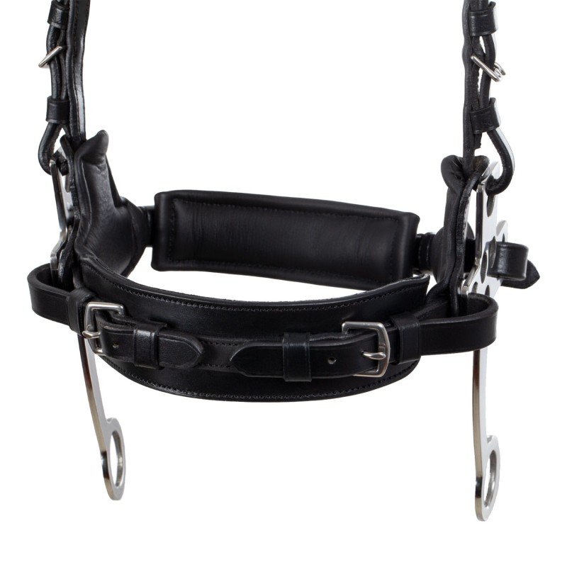 SUH01002_BK-6 (1).jpg