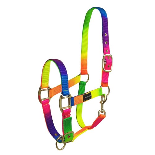 Kantar Horsenjoy Rainbow Tropical Heat COB 24H