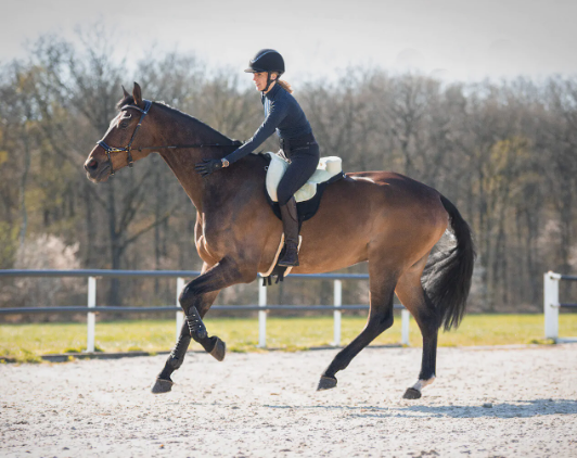 PAD DO JAZDY NA OKLEP.png