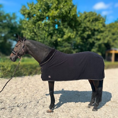 Derka York Gold Star polarowa.jpg