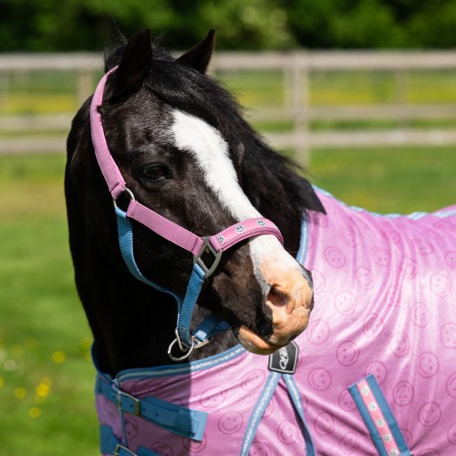 Kantar Rosalynn Qhp Pony 24 h 