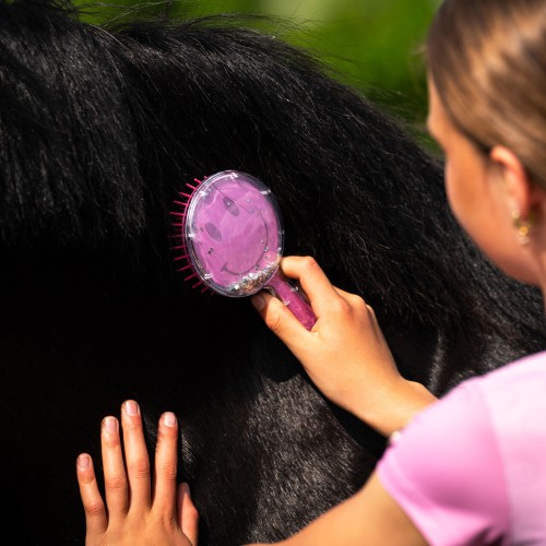 Szczotka do grzywy i ogona Rosalynn 24 h 