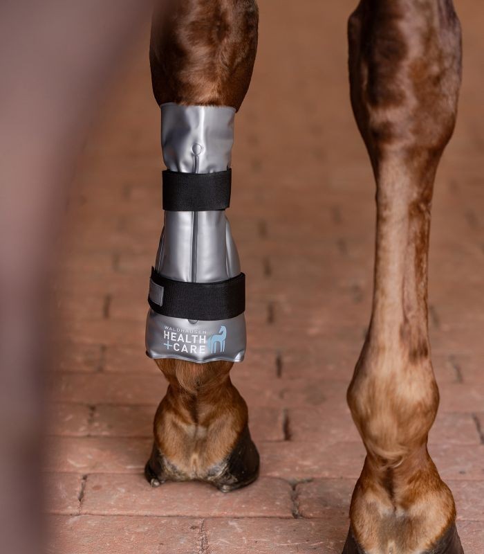 ochraniacze dla konia rozgrzewjące i chłodzące 3.jpg