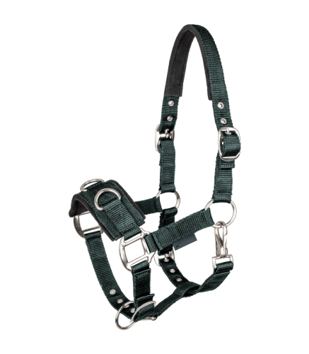 Kawecan Waldhausen 24 h Full