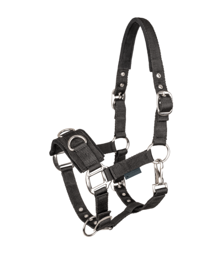 Kawecan Waldhausen 24 h  Cob