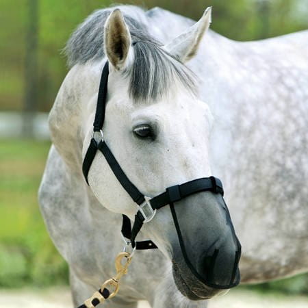 Maska na nos York przeciwko owadom PONY 24H 