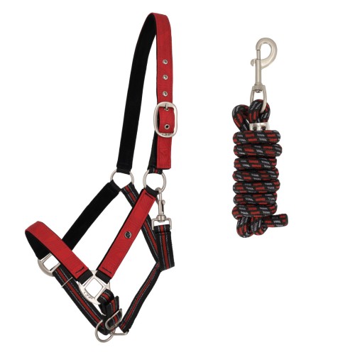 Kantar + uwiąz QHP Cob 24 h    