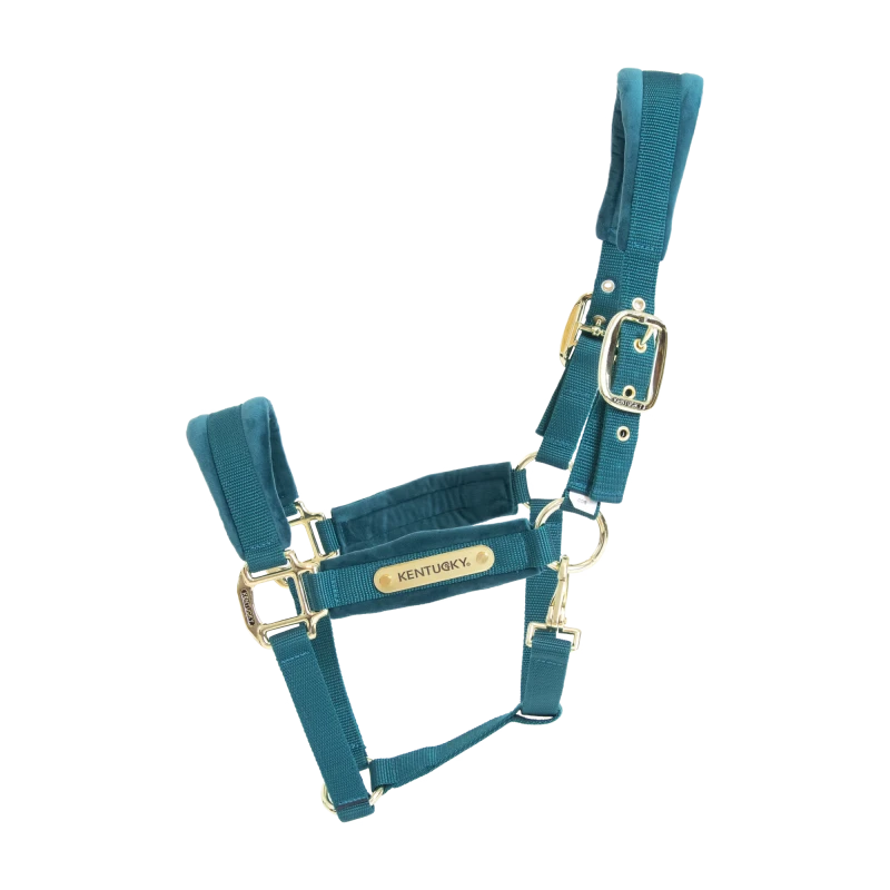 Kentucky kantar welvet szmaragdowy