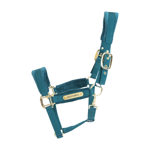 Kentucky kantar Welvet roz Full 24 h 