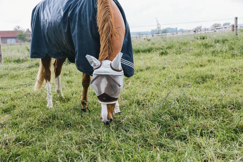 Kentucky maska na owady Skin Friendly1.webp