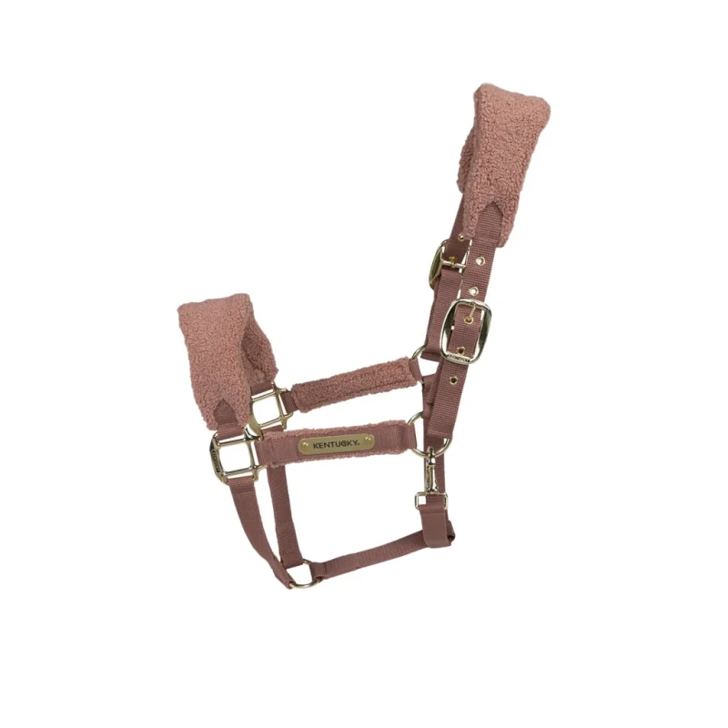 Kentucky kantar Teddy