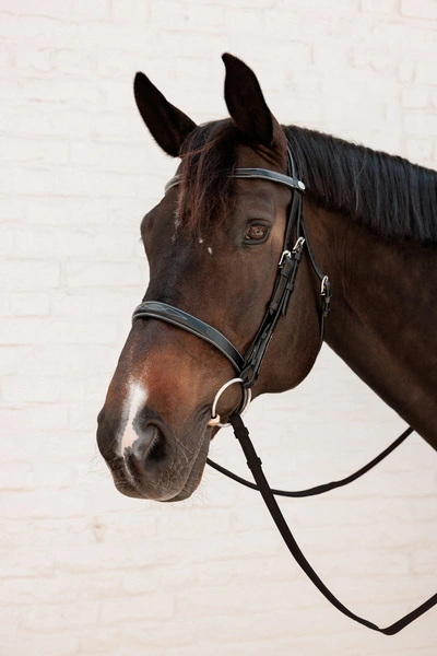 Ogłowie Dy'on Cavesson Hunter Working 2.webp