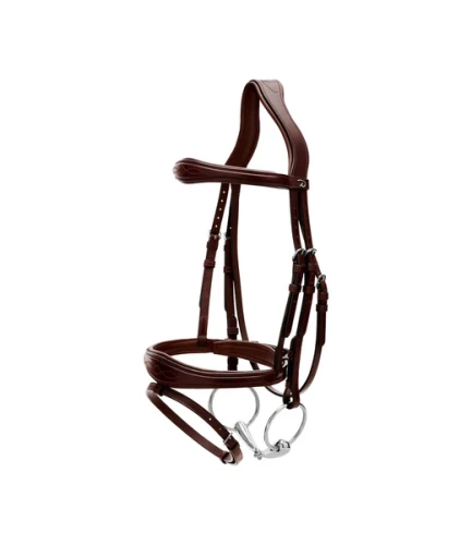 Anatomiczne ogłowie Dy'on z nachrapnikiem angielskim New English